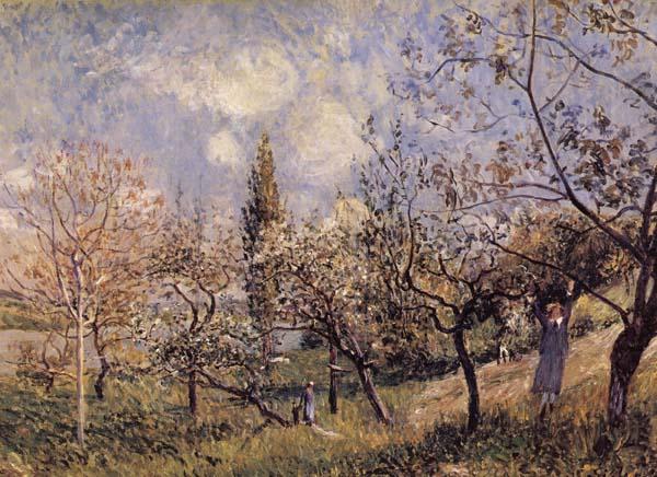 Alfred Sisley Orchard in Sping-By china oil painting image
